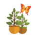Council of Barrington Garden Club