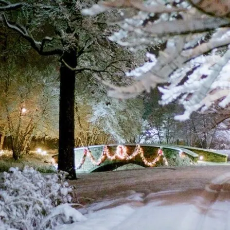 The Garlands main bridge and drive, covered in snow at night.
