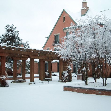 Snow flocked trees