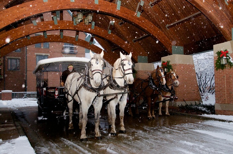 horse drawn carriage