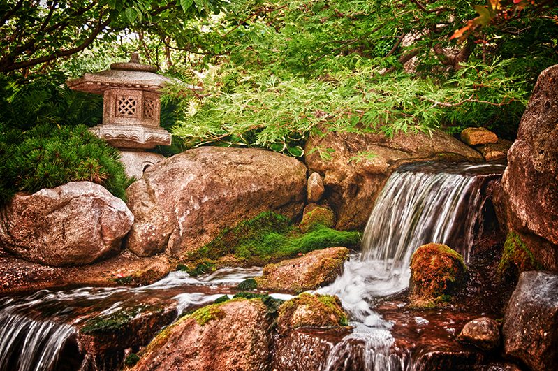 Garden pond