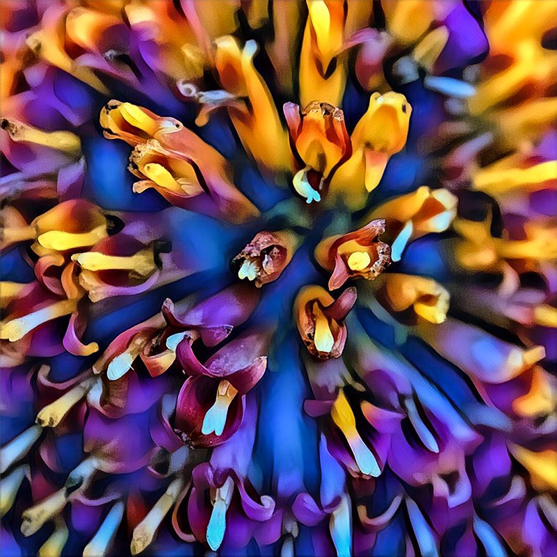 Flower pollen and seeds