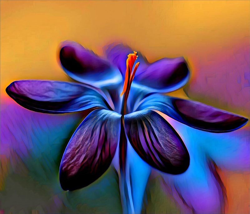 Blue and orange abstract flower