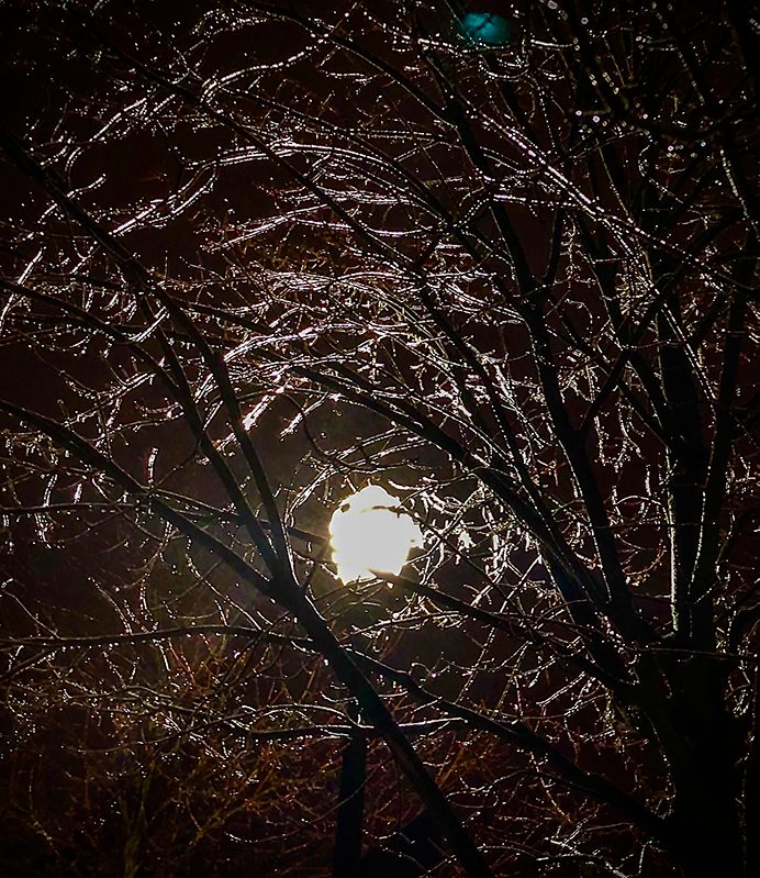 icy branches with full moon in october