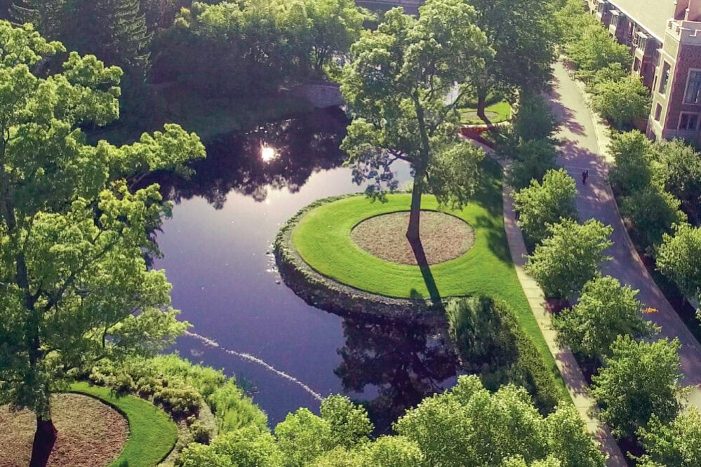 Stream around the garlands property - birds eye view.
