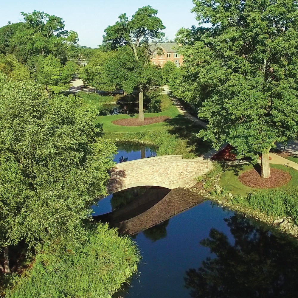 Inspiration Bridge downward view