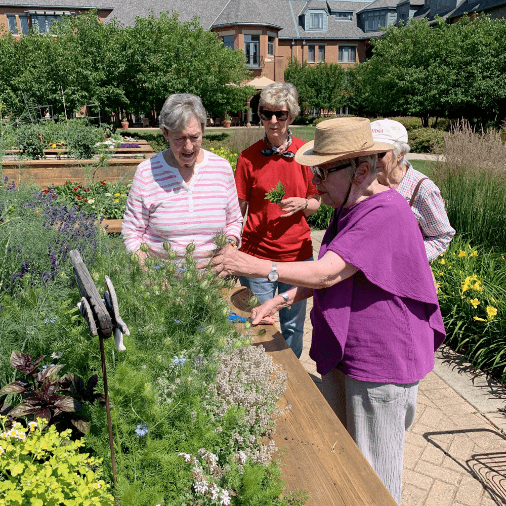 Avid gardeners tend to the many raised beds at The Garlands.