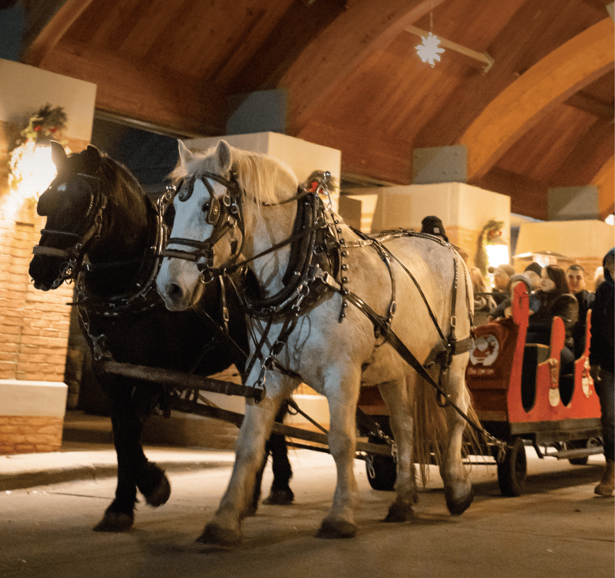 Horses Horse and Carriage Holiday Open House Event