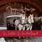 Horse Drown Carriage at our Open House