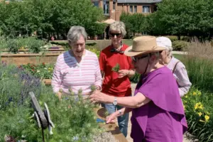 Group of Garlands Members working in the garden.