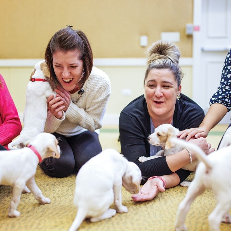 Garlands staff interact with the puppies