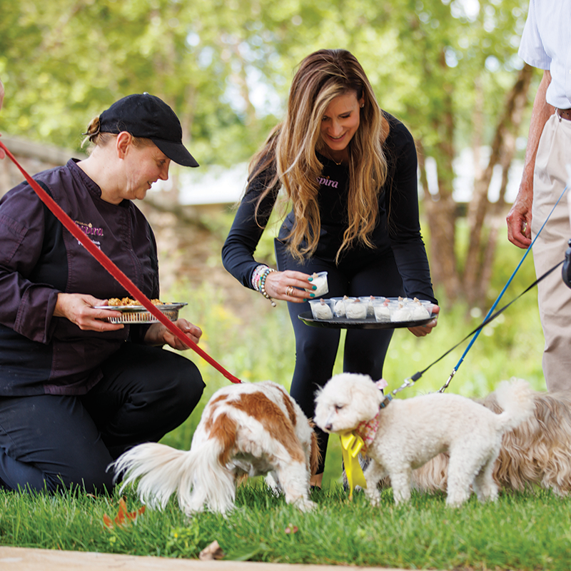 Members' dogs getting puppy ice cream from the garlands staff members