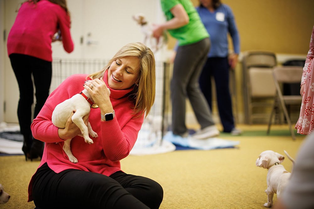 Staff member with a puppy