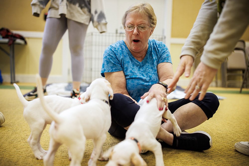 Puppy Play with a Resident