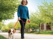 woman walking her dog outside at The Garlands