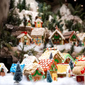 Sugar Plum Open House & Tour