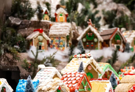 Sugar Plum Open House & Tour