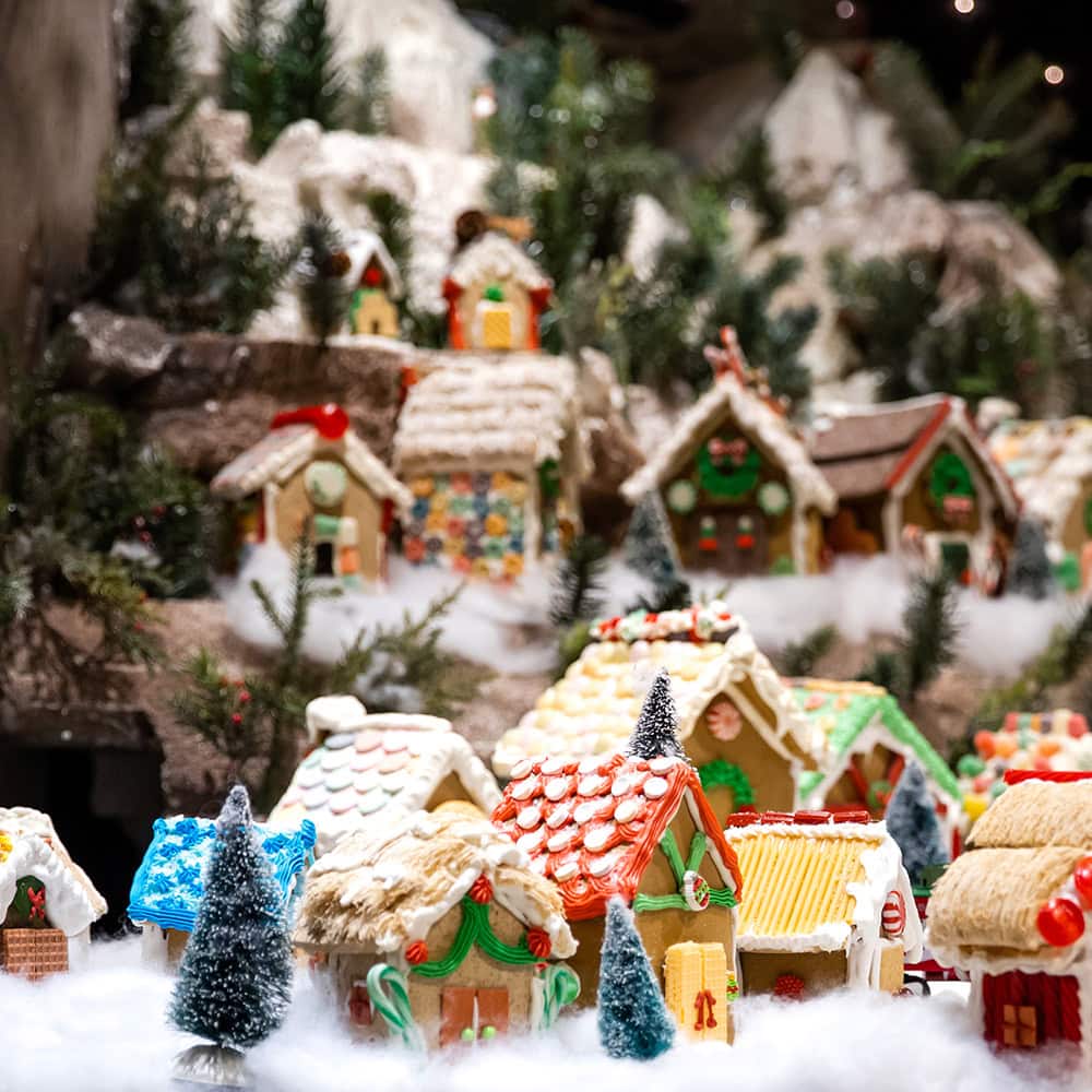 Sugar Plum Open House & Tour