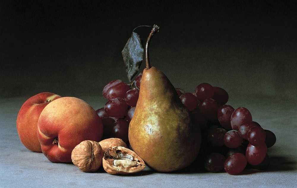 366768282-31676_lynnpearson_sca002 Still Life with Fruit, Amy Lamb