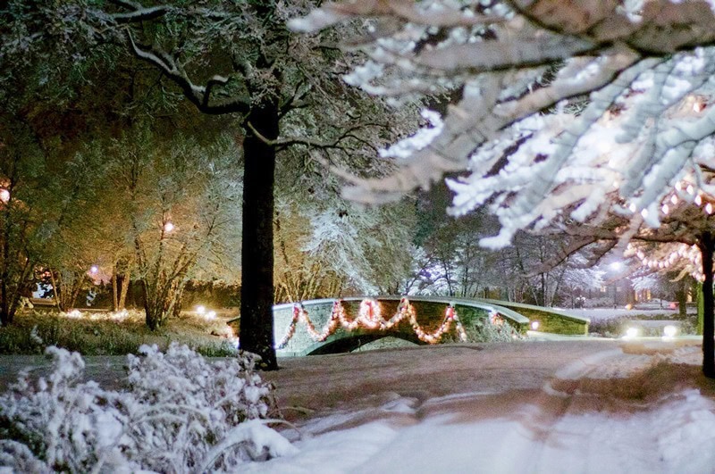 The Garlands main bridge and drive, covered in snow at night.